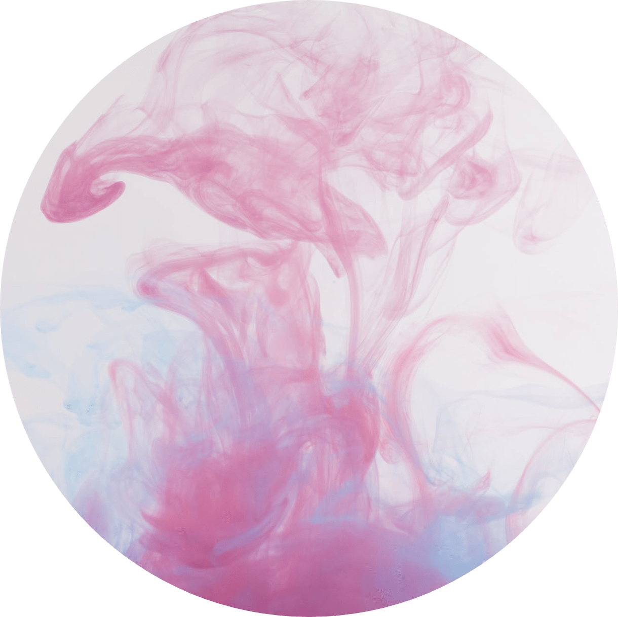 TOBACCO HOUSE - Всё для вашего кальяна